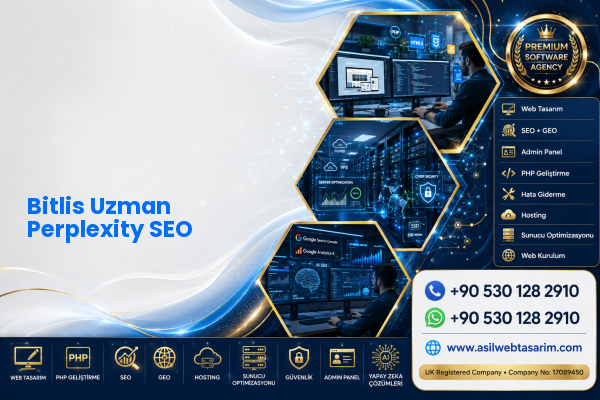 Bitlis Uzman Perplexity SEO — Asil Web Tasarım Hizmetleri LTD web ve teknik hizmet görseli